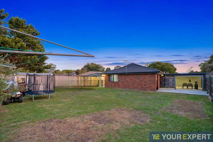 Fifth view of Homely house listing, 3 Evelyne Avenue, Cranbourne VIC 3977