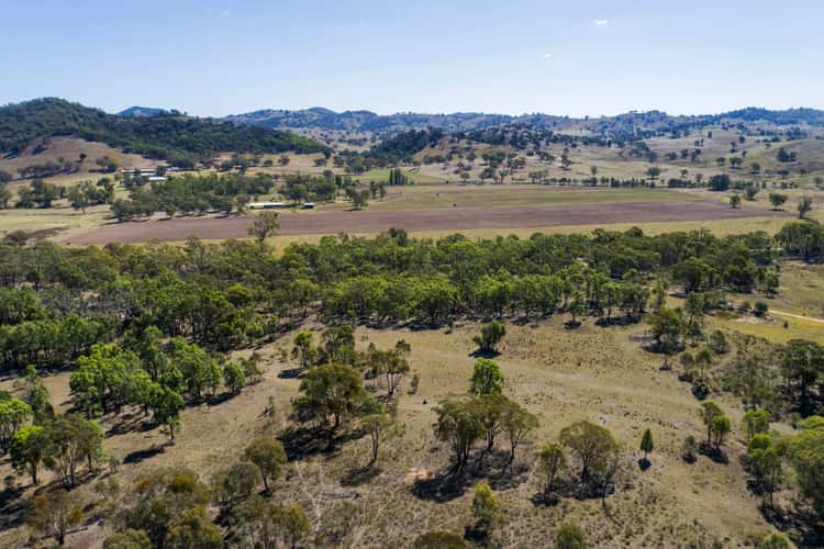 1625 Hill End Road, Mudgee NSW 2850