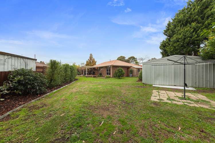 6 South Charles Court, Cranbourne VIC 3977