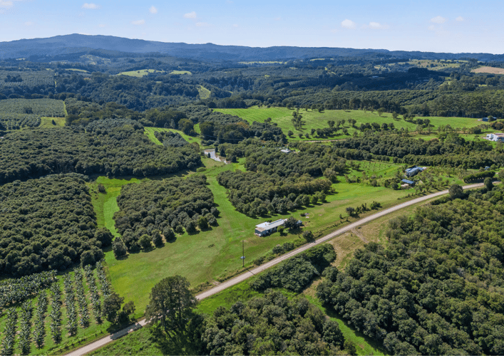 100 Fraser Road, Dunoon NSW 2480