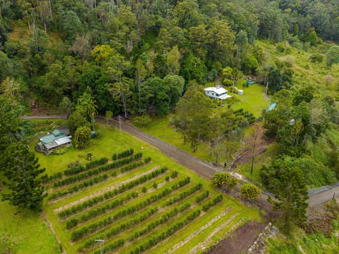 Third view of Homely horticulture listing, 280 Davis Road, Jiggi NSW 2480
