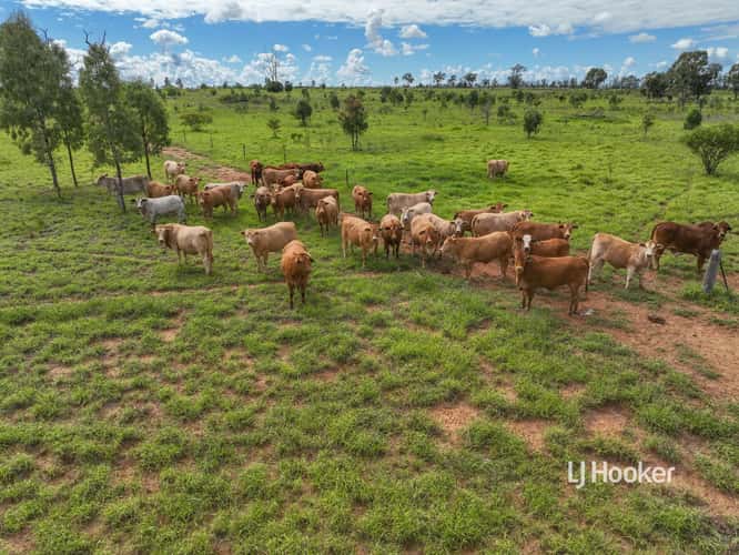 Sixth view of Homely livestock listing, Lot 7 Burnsdale Road, Roma QLD 4455