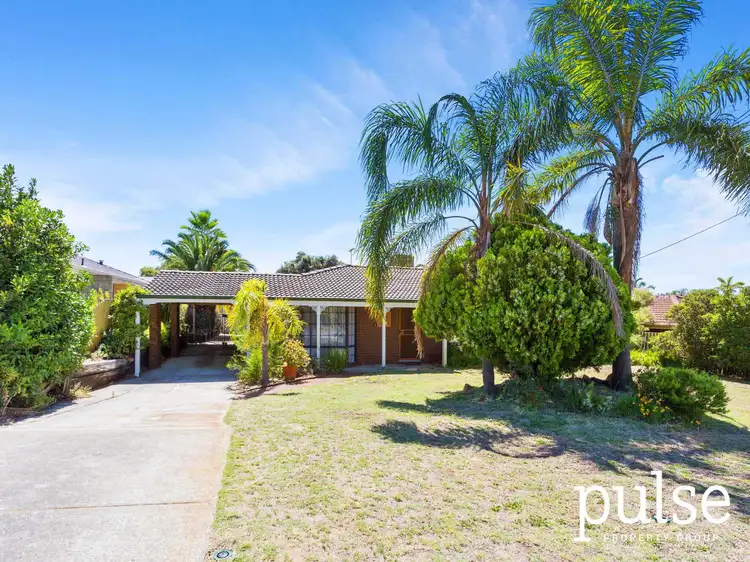 10 Little Rush Close, South Lake WA 6164