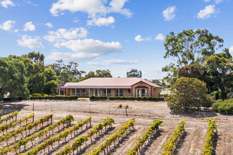 Third view of Homely viticulture listing, 133 Rhine Park Road, Eden Valley SA 5235