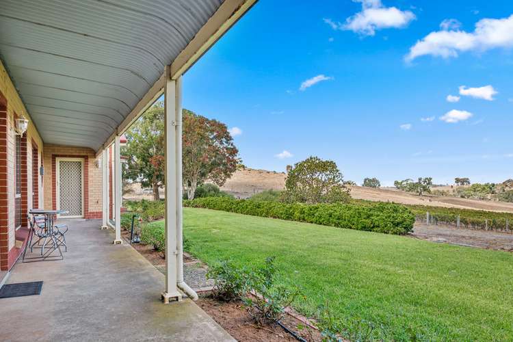 Sixth view of Homely viticulture listing, 133 Rhine Park Road, Eden Valley SA 5235