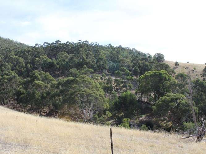 Fifth view of Homely residentialLand listing, Lot 1 Black Snake Road, Granton TAS 7030