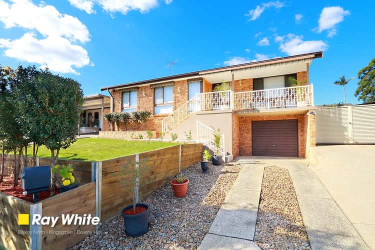 16 Hewitt Place, Minto NSW 2566