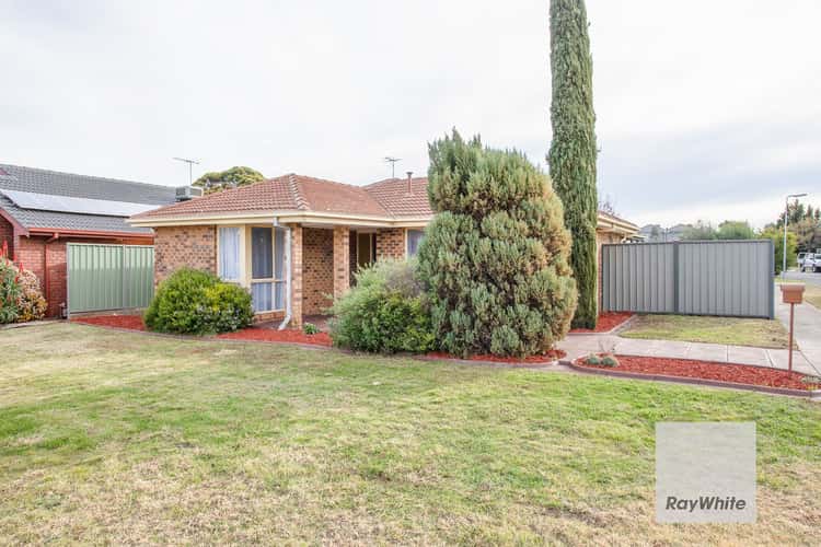 11 Angourie Crescent, Taylors Lakes VIC 3038