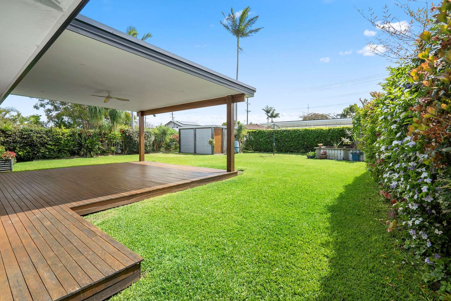 Main view of Homely house listing, 8 Celtis Court, Palm Beach QLD 4221
