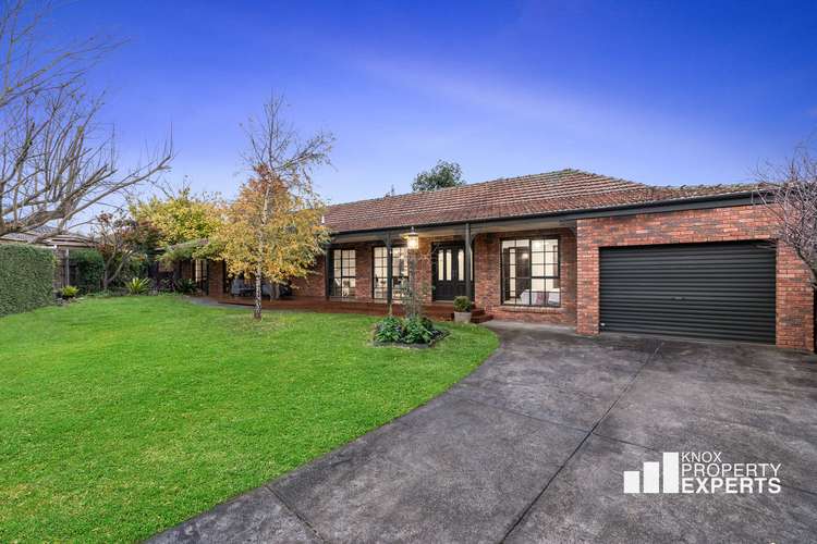 Main view of Homely house listing, 7 Alkira Court, Wantirna VIC 3152