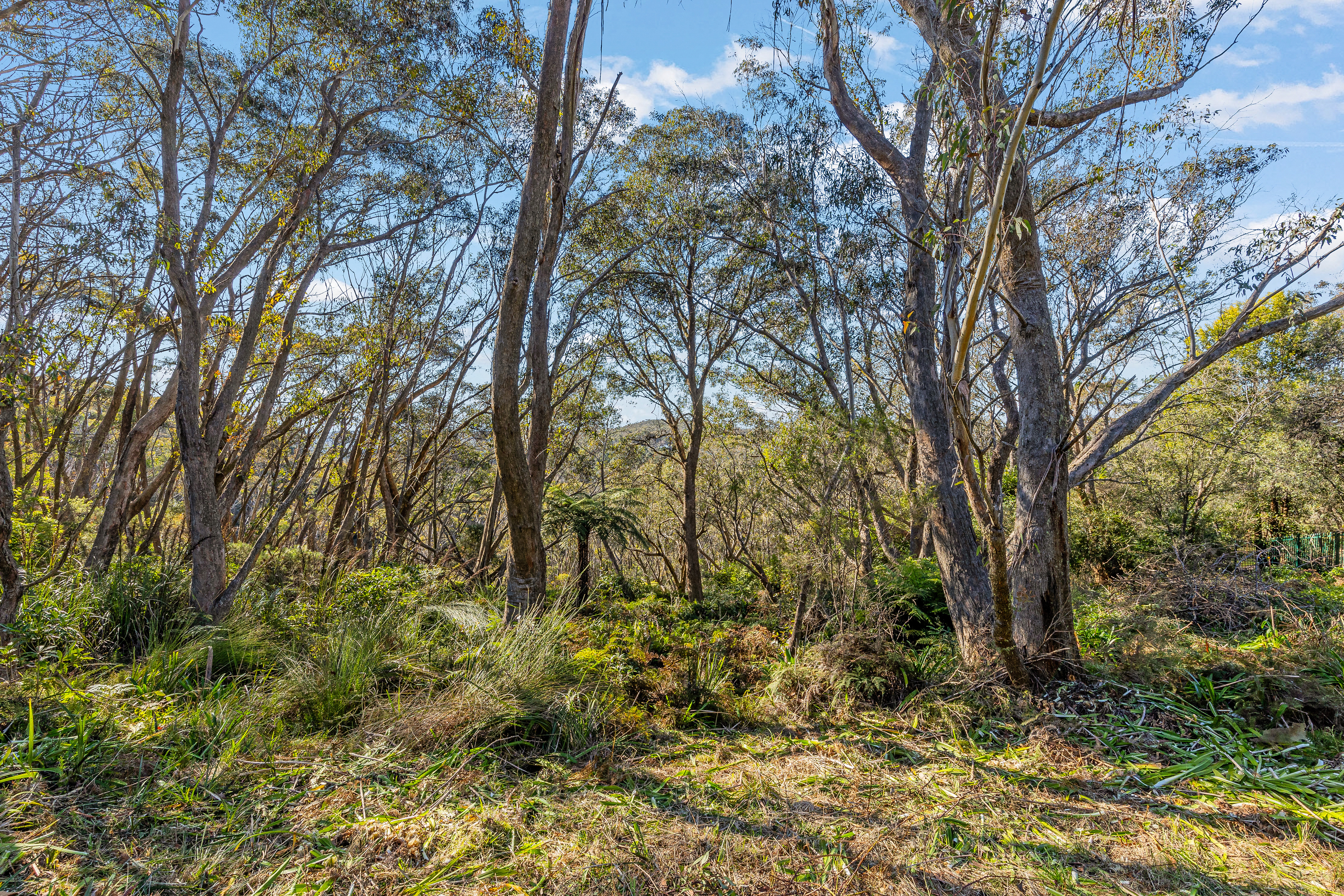 5A Mount Hay Road, Leura, NSW 2780, 0房, 0浴, Section